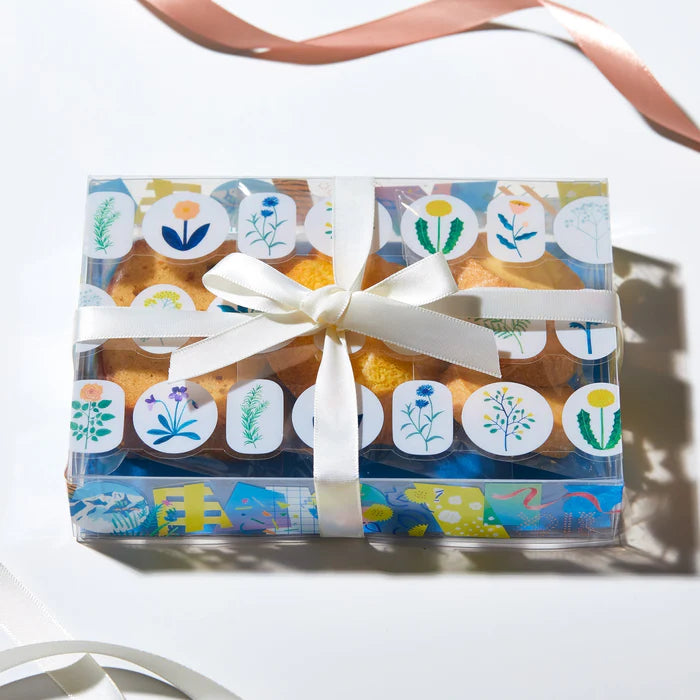 킹짐소다 투명 마스킹 테이프 SODA(몰드컷형) Duck Ike CMTD15-005 4971660060221