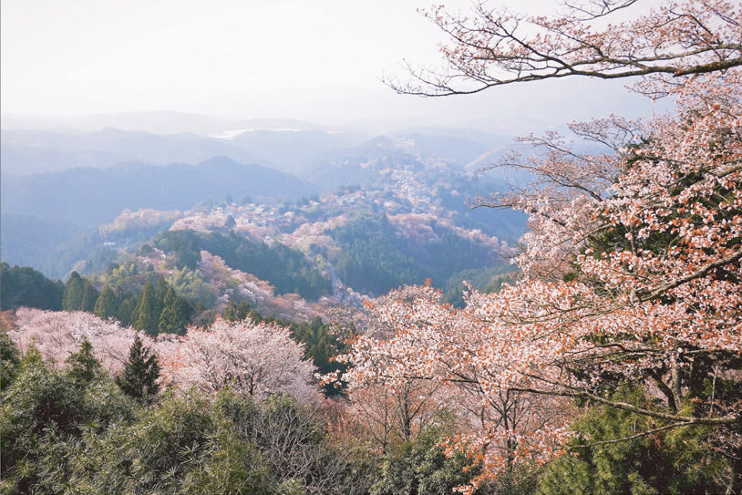 Mt. Yoshino Sakura Glass Pen