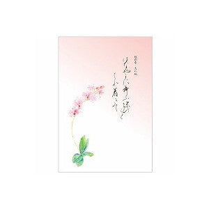 NB 伝えるきもち封筒 5326919 エヌビー社 4905260683955（5セット）