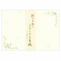 エヌビー 伝える封筒お付合い 5326921 （5セット）