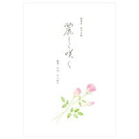 [単価514円・5セット]便箋花結薔薇 4110204 エヌビー 4905260714871（5セット）