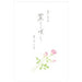 [単価514円・5セット]便箋花結薔薇 4110204 エヌビー 4905260714871（5セット）