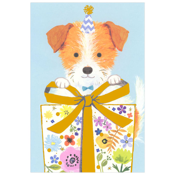 チキュウ エブリデイカード G250-312 チキュウ G250-312　4963328143124（5セット）