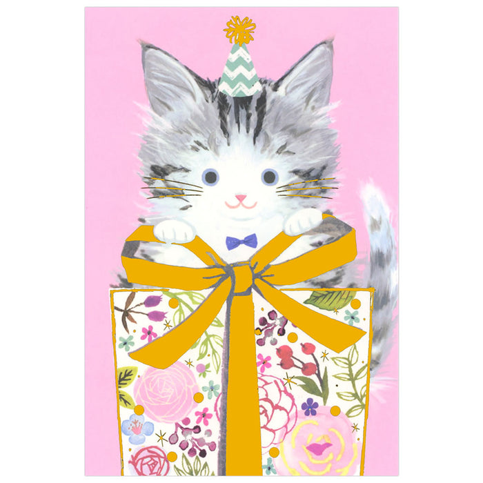 チキュウ エブリデイカード G250-313 チキュウ G250-313　4963328143131（5セット）