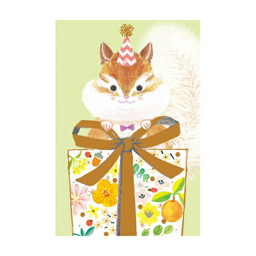 チキュウ エブリデイカード G250-314 チキュウ G250-314　4963328143148（5セット）