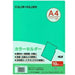 カラーホルダーＡ４　１０マイ　Ｐミント CC-141A-16 テージー 4904611009147
