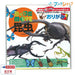 トーヨー 動く図鑑MOVE昆虫おりがみ 36502 トーヨー 4902031315565（5セット）