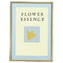 ラドンナ メタルフレーム BK1-S ラドンナ 4934122018017