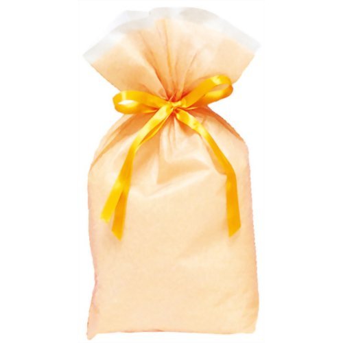 T-2276-M　包むファクトリー シンテックス巾着BAG マチ付 イエロー M 包む 4512427227688（5セット）