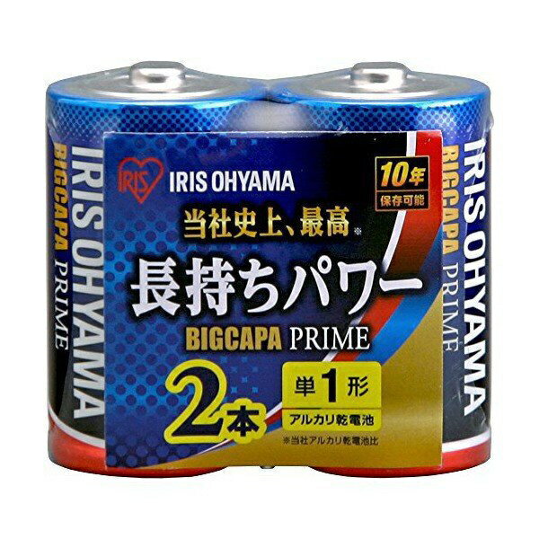 Pile alcaline IRIS AA LR20BP/2P IRIS Ohyama 4967576335270