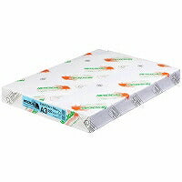 北越紀州製紙 NEWファインカラー 64g A3 スカイブルー 北越コーポレーション 4535449321110