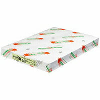 北越紀州製紙 NEWファインカラー 64g A3 ライトグリーン 北越コーポレーション 4535449324111