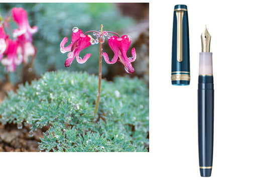 Sailor セーラー万年筆 SHIKIORI ―四季織― 山水 万年筆 駒草（こまくさ）中細 11-2050-302