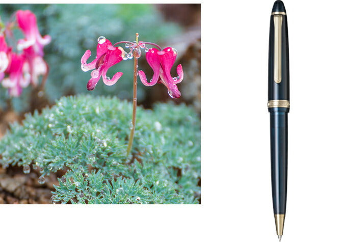 Sailor セーラーボールペン SHIKIORI ―四季織― 山水 ボールペン 駒草（こまくさ）16-0600-202